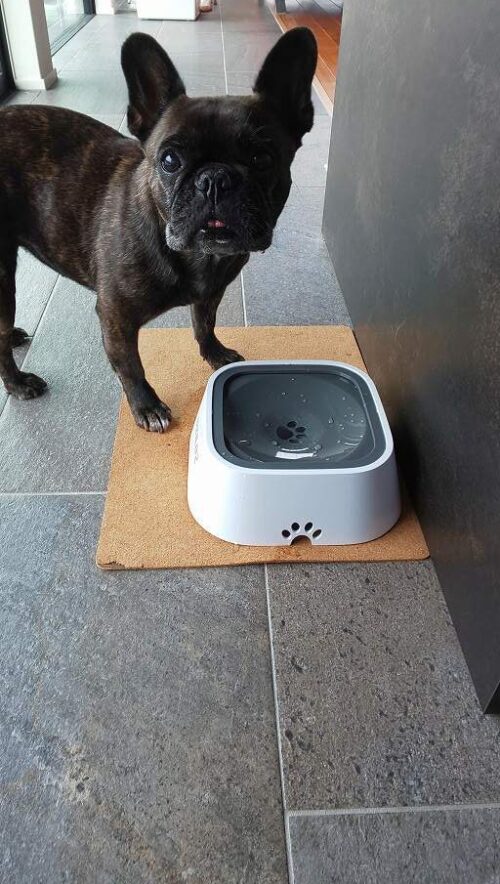 ペット水飲み器